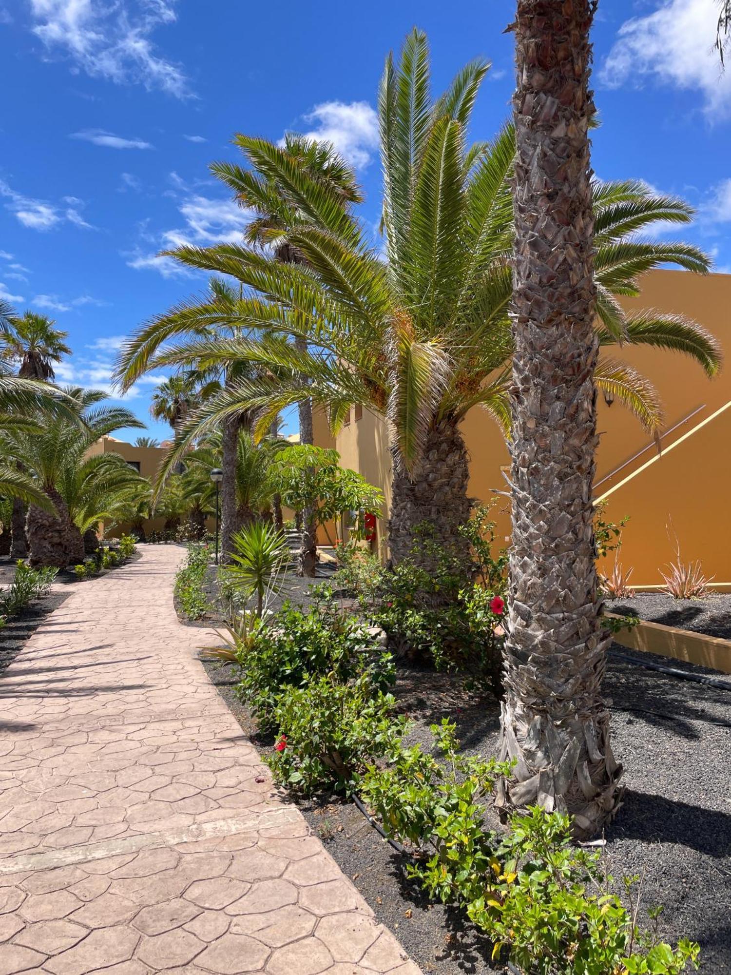B-Rent Casa Angela Pool View Apartamento Corralejo Exterior foto